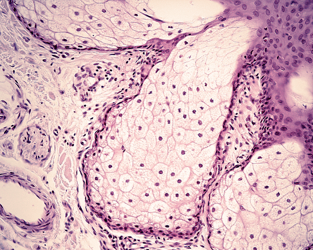 AdobeStock_461305690 - smaller