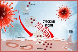 Cytokine Storm - with border and virus - 250px Cytokine Storm - with border and virus - 250px