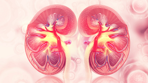 iStock-1014773610 - for website