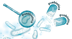 shutterstock_2215953923 [Converted] - Pre- Pro- Post-biotics - Image for website